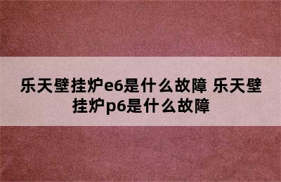 乐天壁挂炉e6是什么故障 乐天壁挂炉p6是什么故障